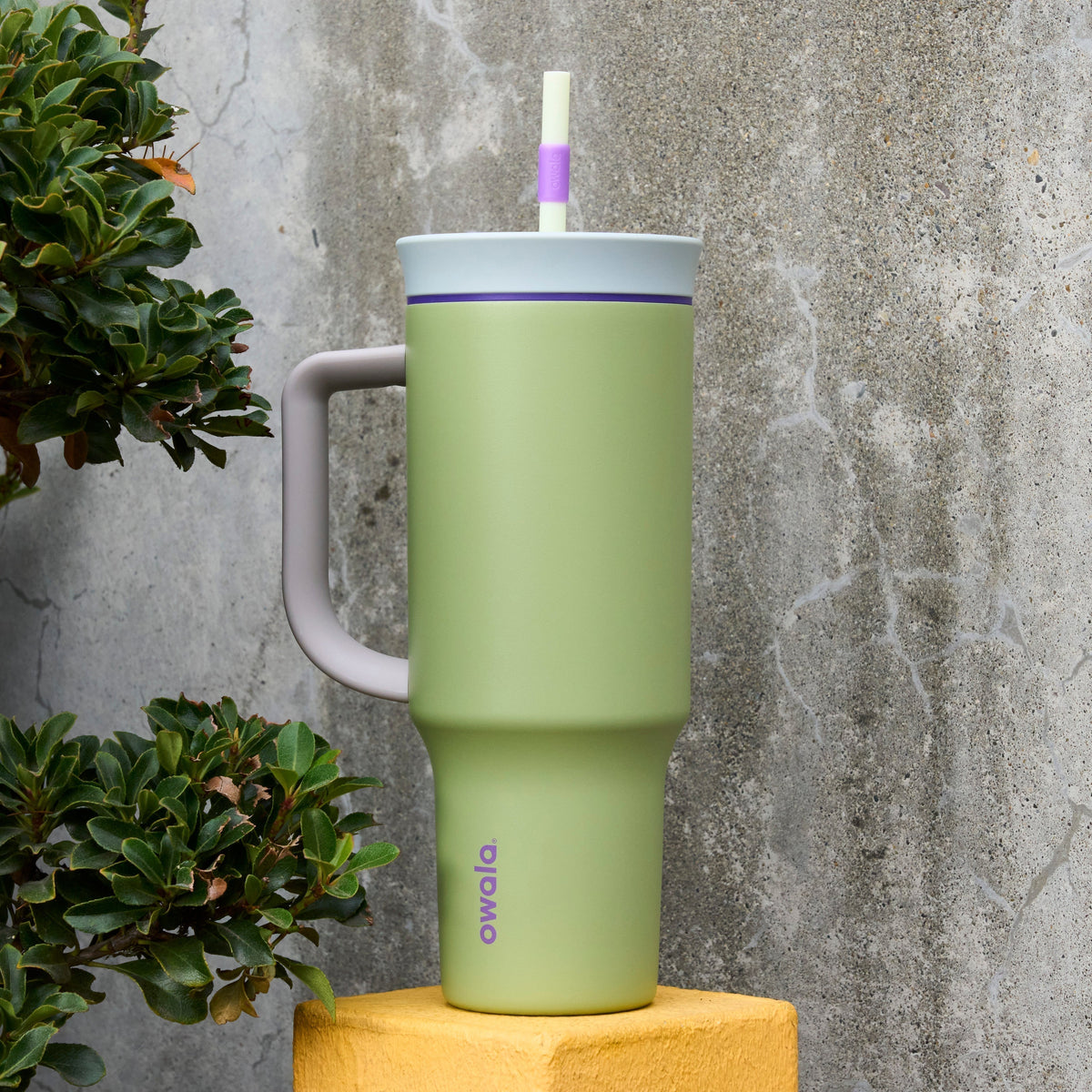 Owala Tumbler 40oz - Hip Cactus